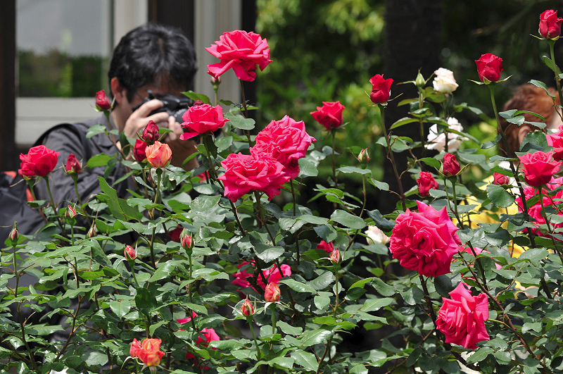 image0150