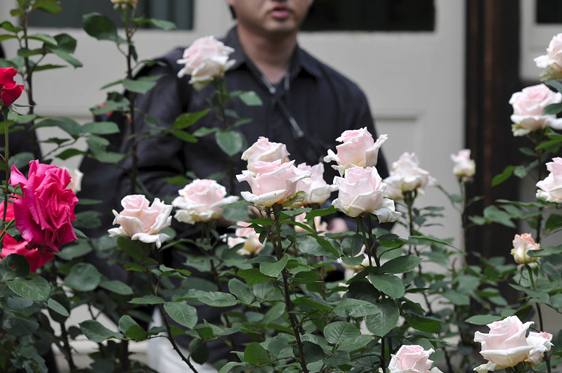 image0151