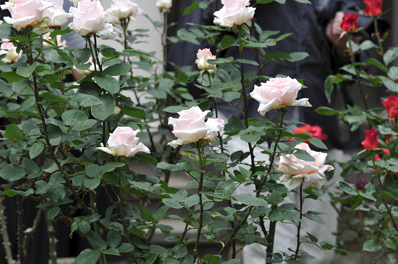 image0152