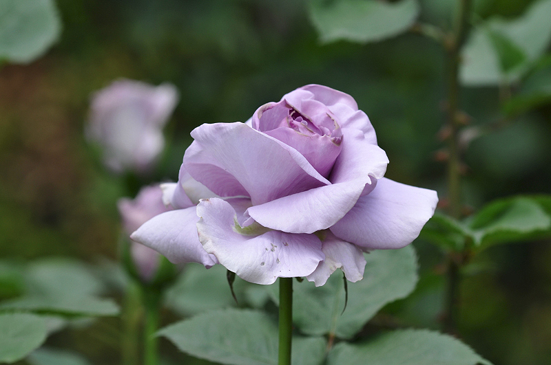 image0153