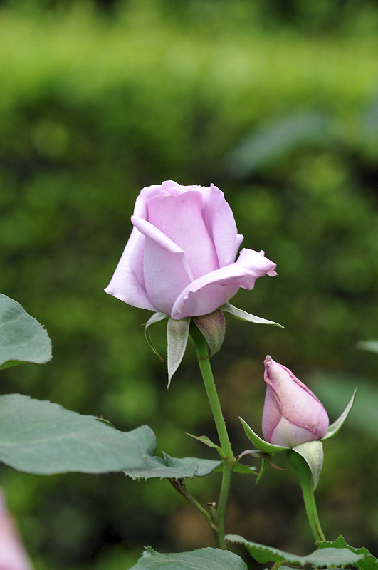 image0154