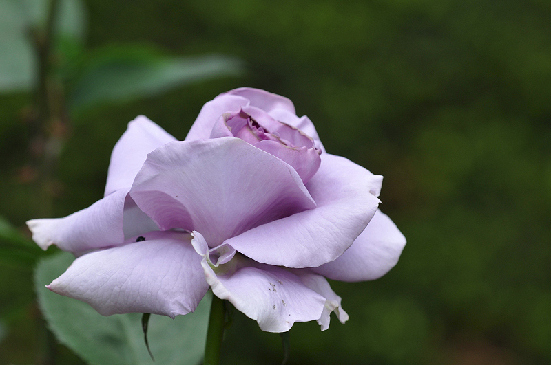 image0157
