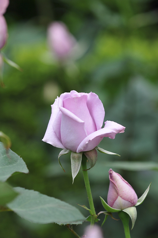 image0158