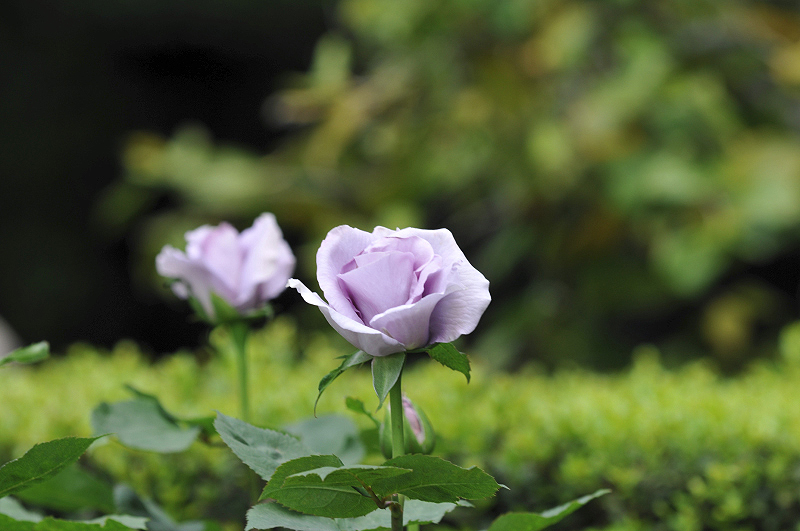 image0159