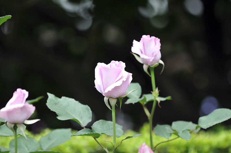 image0161