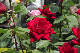 image0128