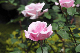 image0129