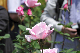 image0131