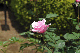 image0132