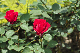 image0134