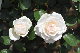 image0136