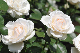 image0137