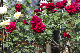 image0138