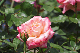 image0140