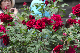 image0144