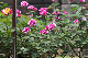 image0146
