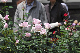 image0147