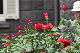 image0148