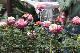 image0149