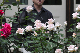 image0151