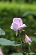 image0154