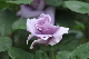 image0155
