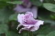 image0156