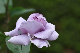image0157