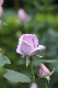 image0158