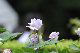 image0160