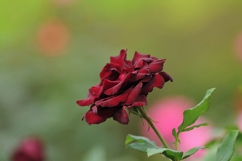 image0103