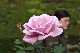 image0131