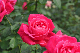 image0135