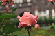 image0137