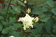 image0139