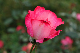 image0142