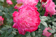 image0143