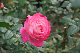 image0144