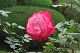 image0146