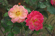 image0147