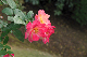 image0149