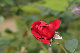 image0151