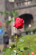 image0153
