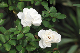 image0154