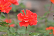 image0156