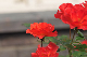image0157