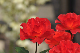 image0159