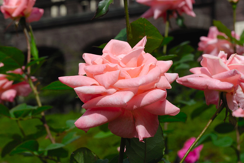 image0099