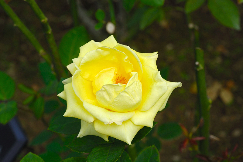 image0112
