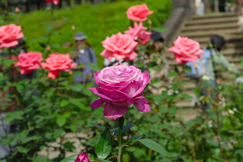 image0115